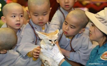 Bốn đứa con